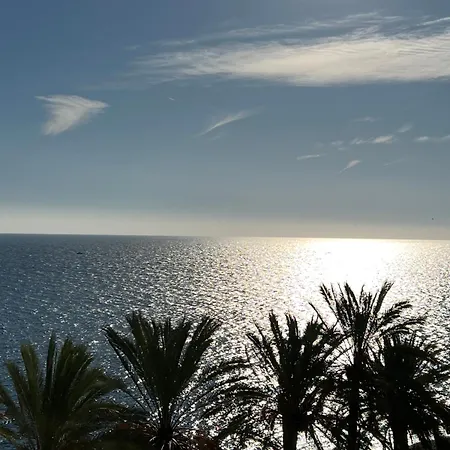 Palmas 1 *