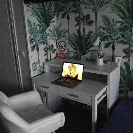 Palmas 1 *